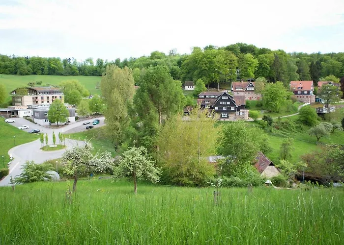 Blumenmeer * Ober-Hambach