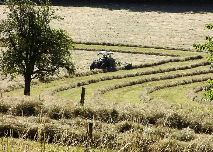 Апартаменты Blumenmeer *